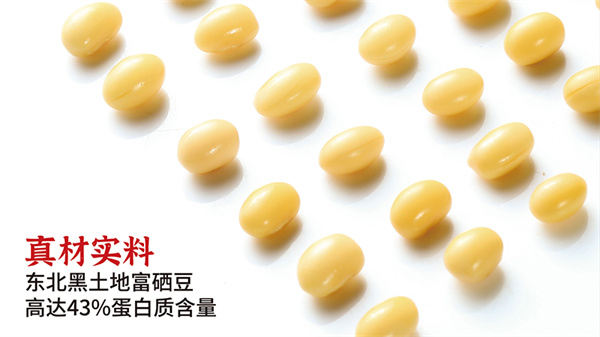 老陈家豆腐脑加盟